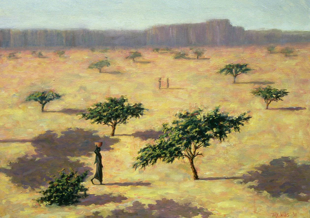 Paesaggio saheliano, Mali, 1991 da Tilly Willis