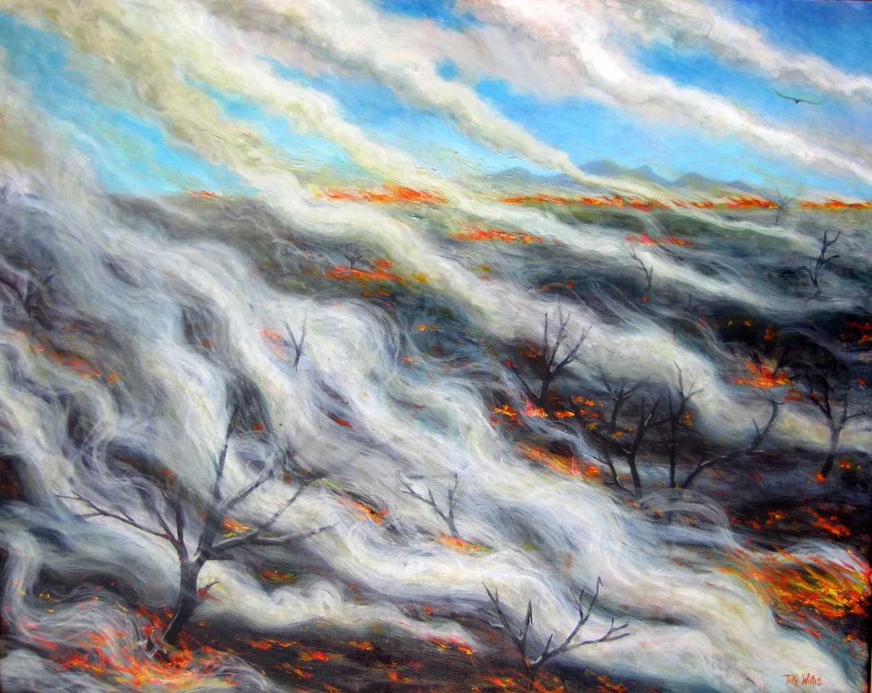 Terra bruciata, 2014 da Tilly Willis