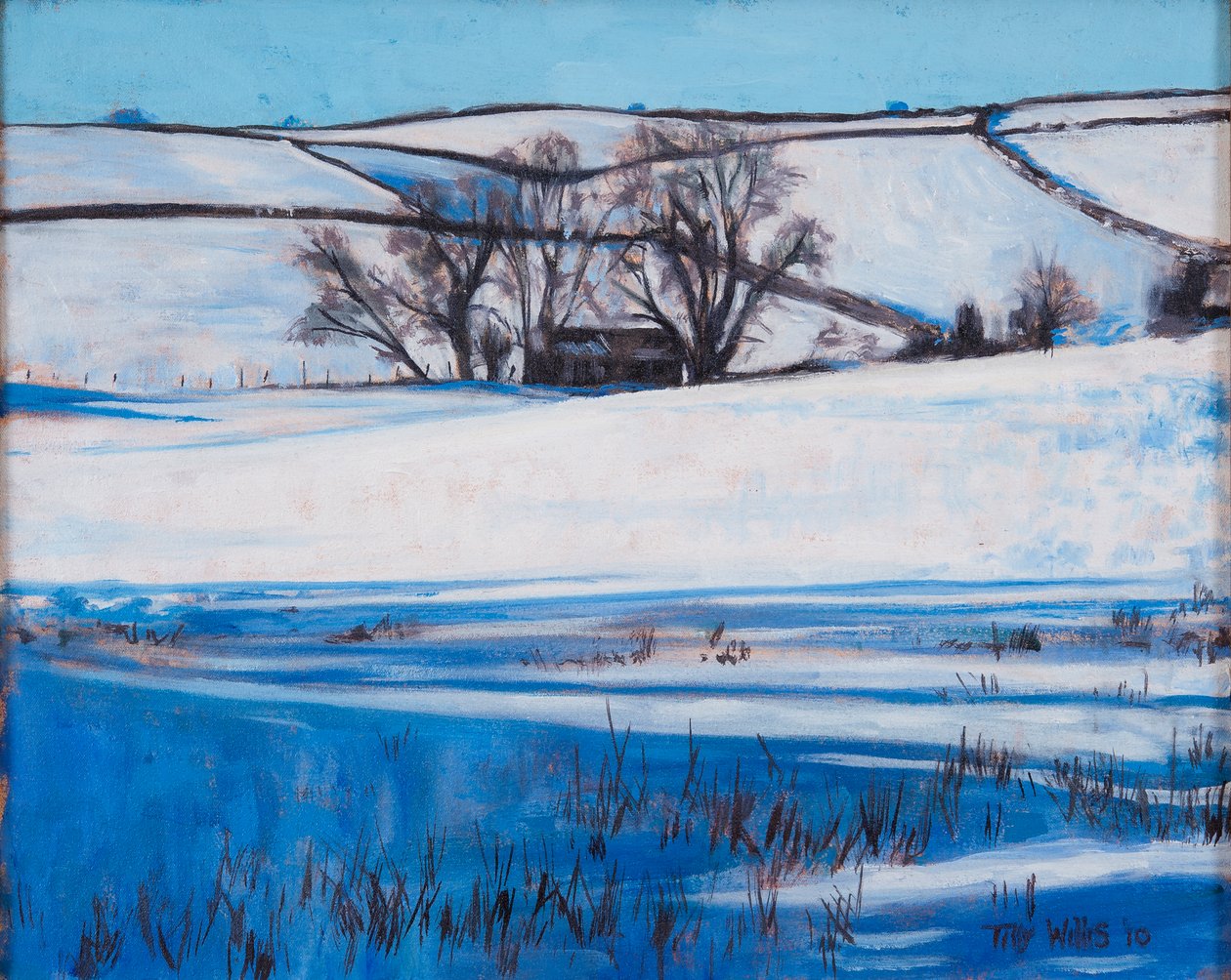 Ombre di neve, 2010 da Tilly Willis