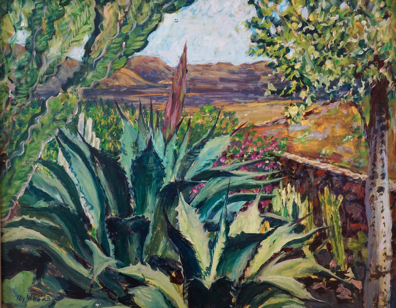 Paesaggio di Lanzarote da Tilly Willis