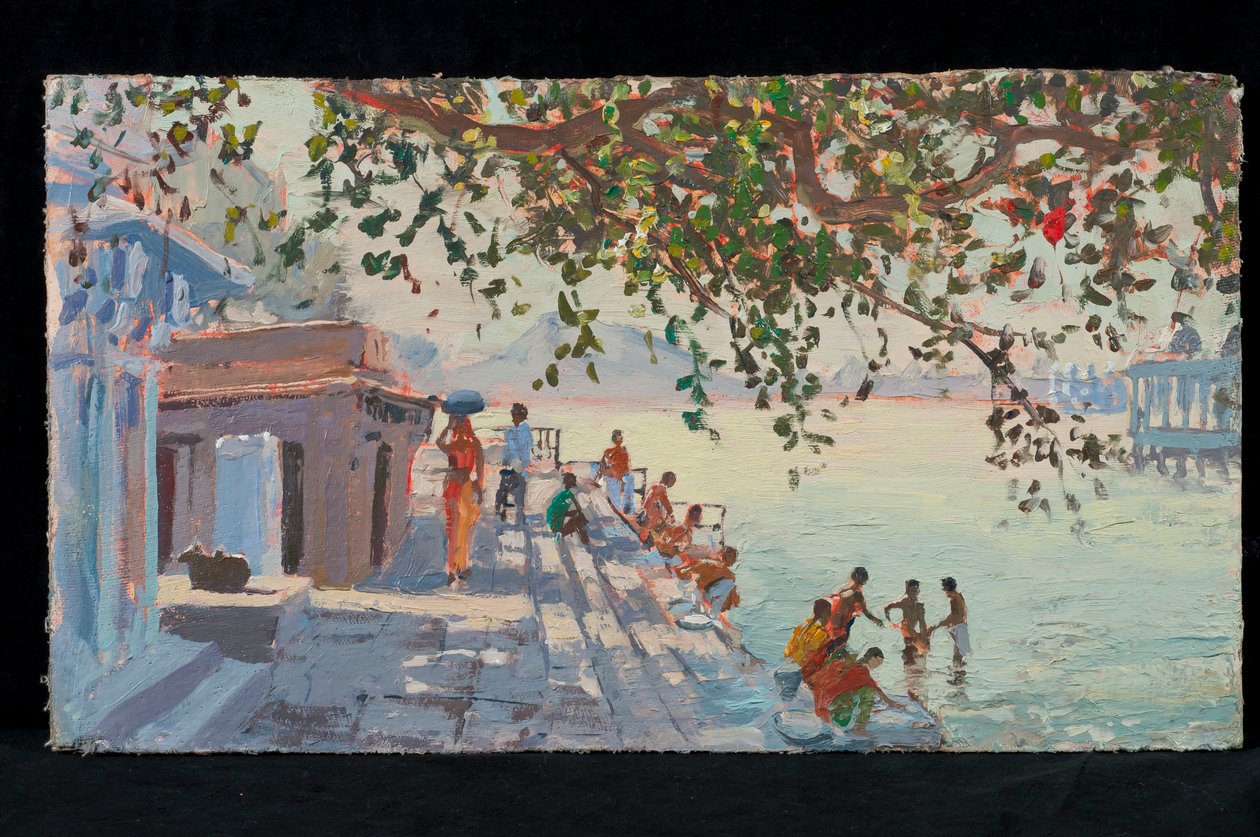 Bagnanti, Udaipur da Tim Scott Bolton