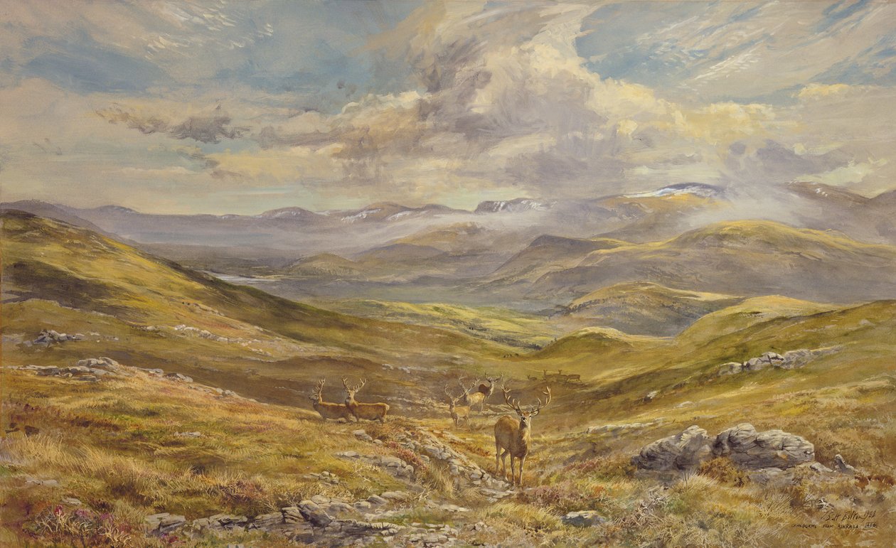 Cairngorms da Kinrara, 1988 da Tim Scott Bolton