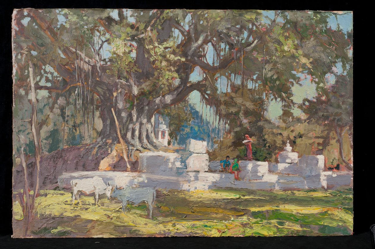 Pozzo di Kawardha e albero di banyan da Tim Scott Bolton