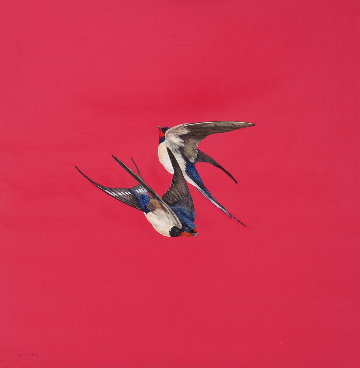 Vortice-Rosso da Tim Hayward