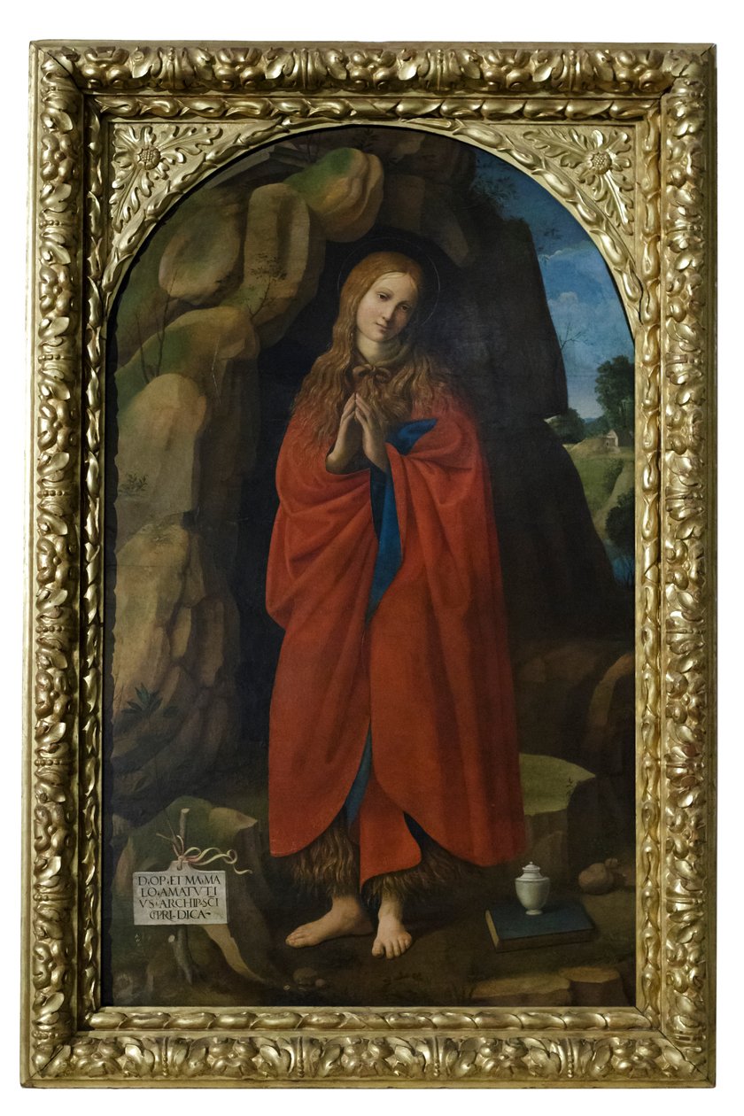 Santa Maria Maddalena da Timoteo Viti