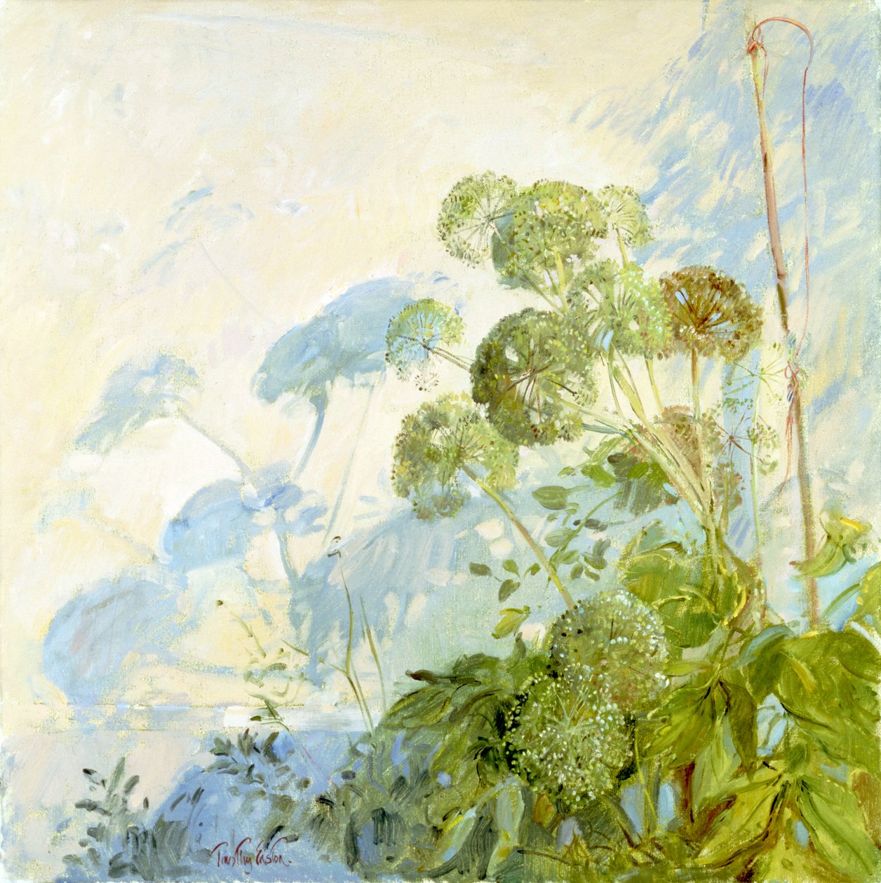 Ombre di Angelica da Timothy Easton