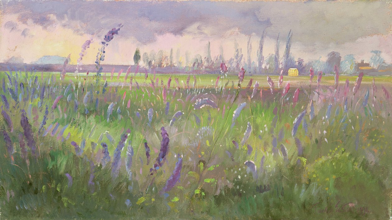 Delphinium, tempesta in arrivo, 1991 da Timothy Easton
