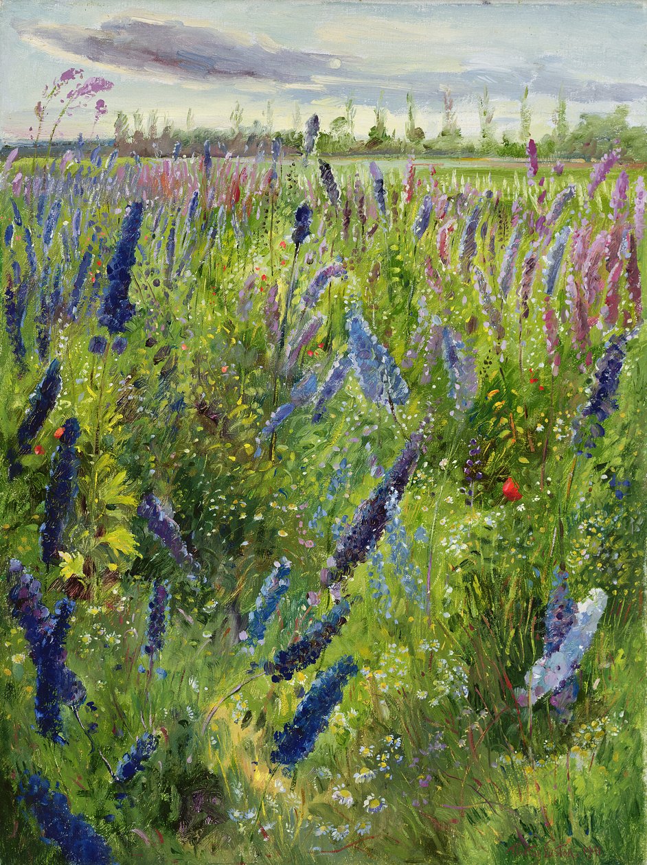 Delphinium e Sole Nascente, 1991 da Timothy Easton