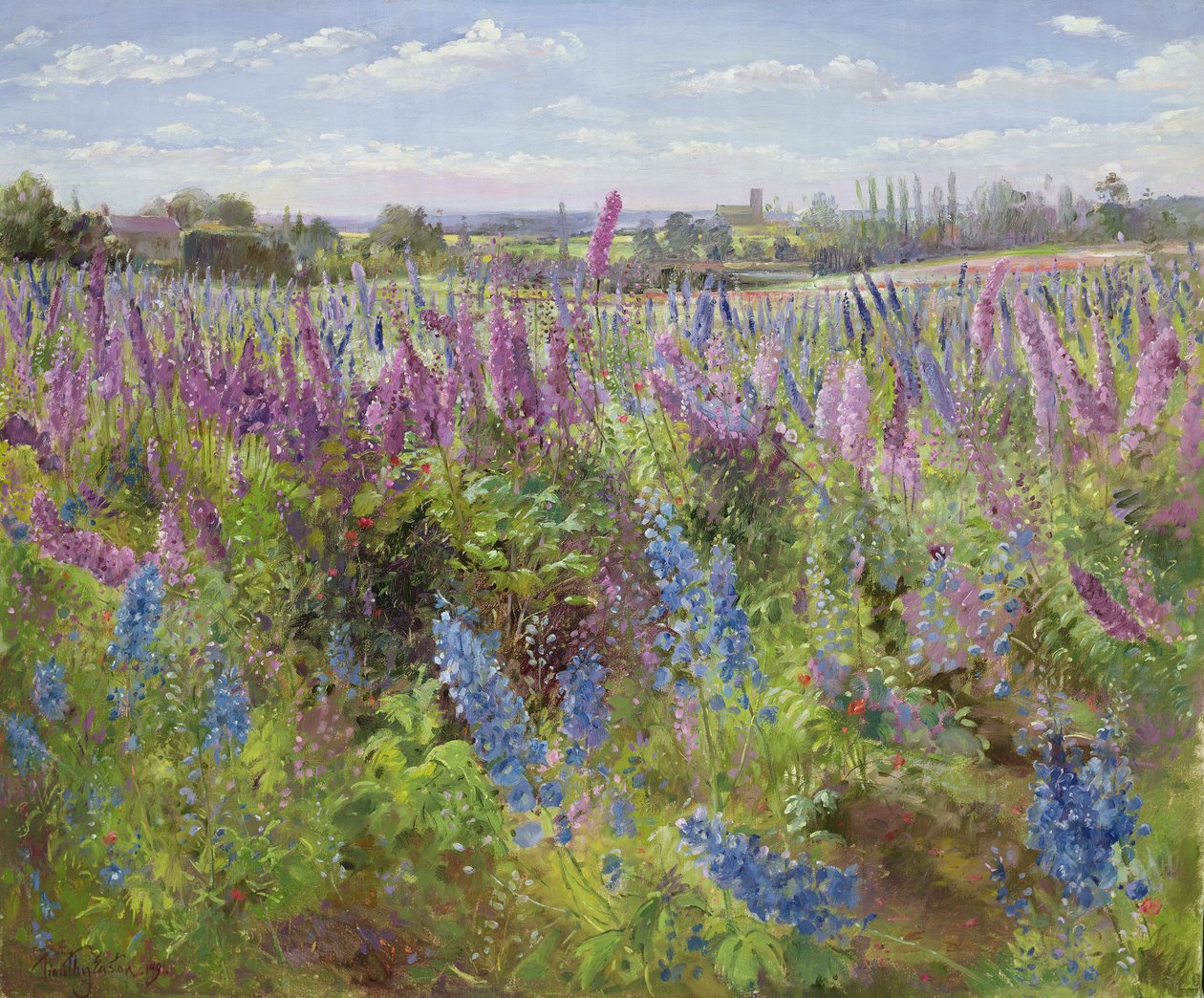Delphinium e papaveri da Timothy Easton