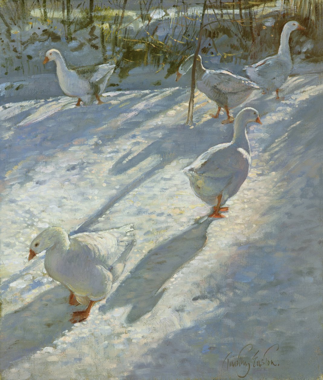 Esplorando il pendio da Timothy Easton