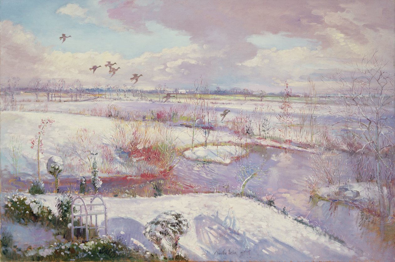 Volo giù, 1993 da Timothy Easton