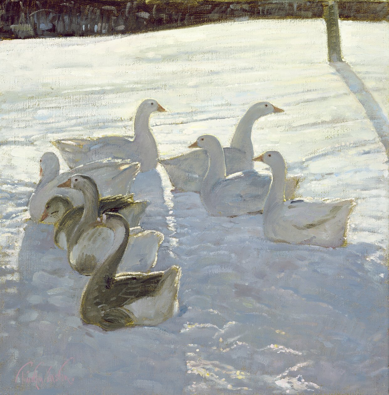 Oche contro la luce da Timothy Easton