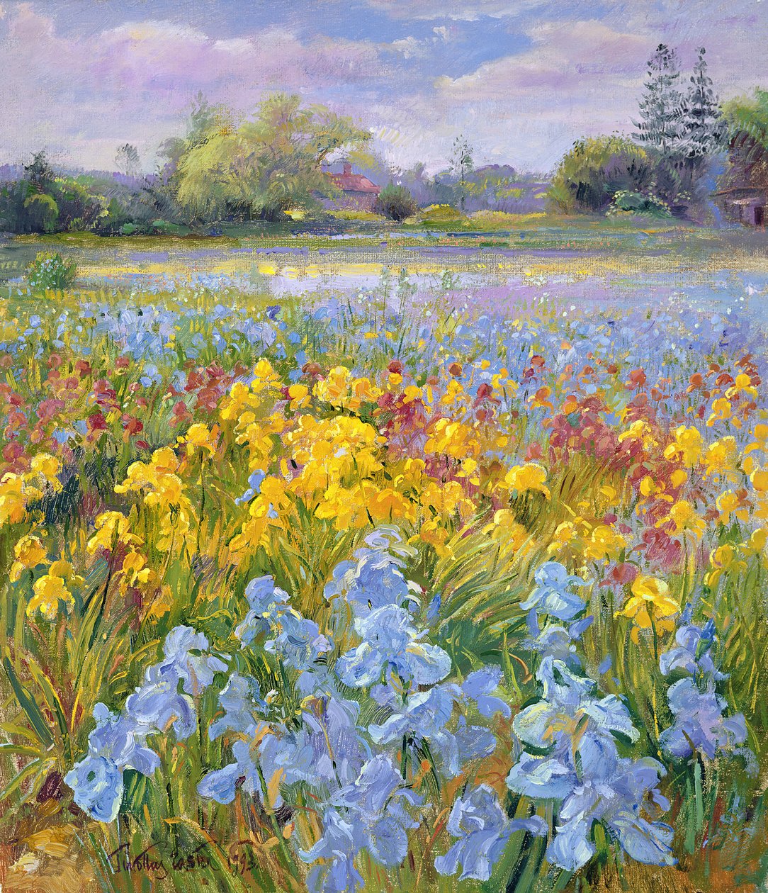 Iris, salice e abete, 1993 da Timothy Easton