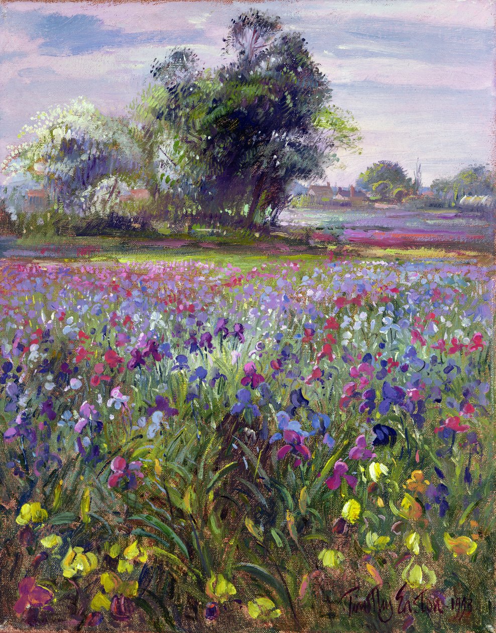 Iris e albero di maggio distante, 1993 da Timothy Easton
