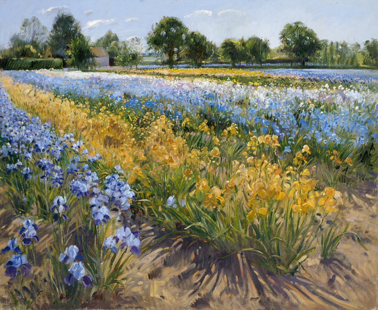 Iris a Burgate, 1996 da Timothy Easton