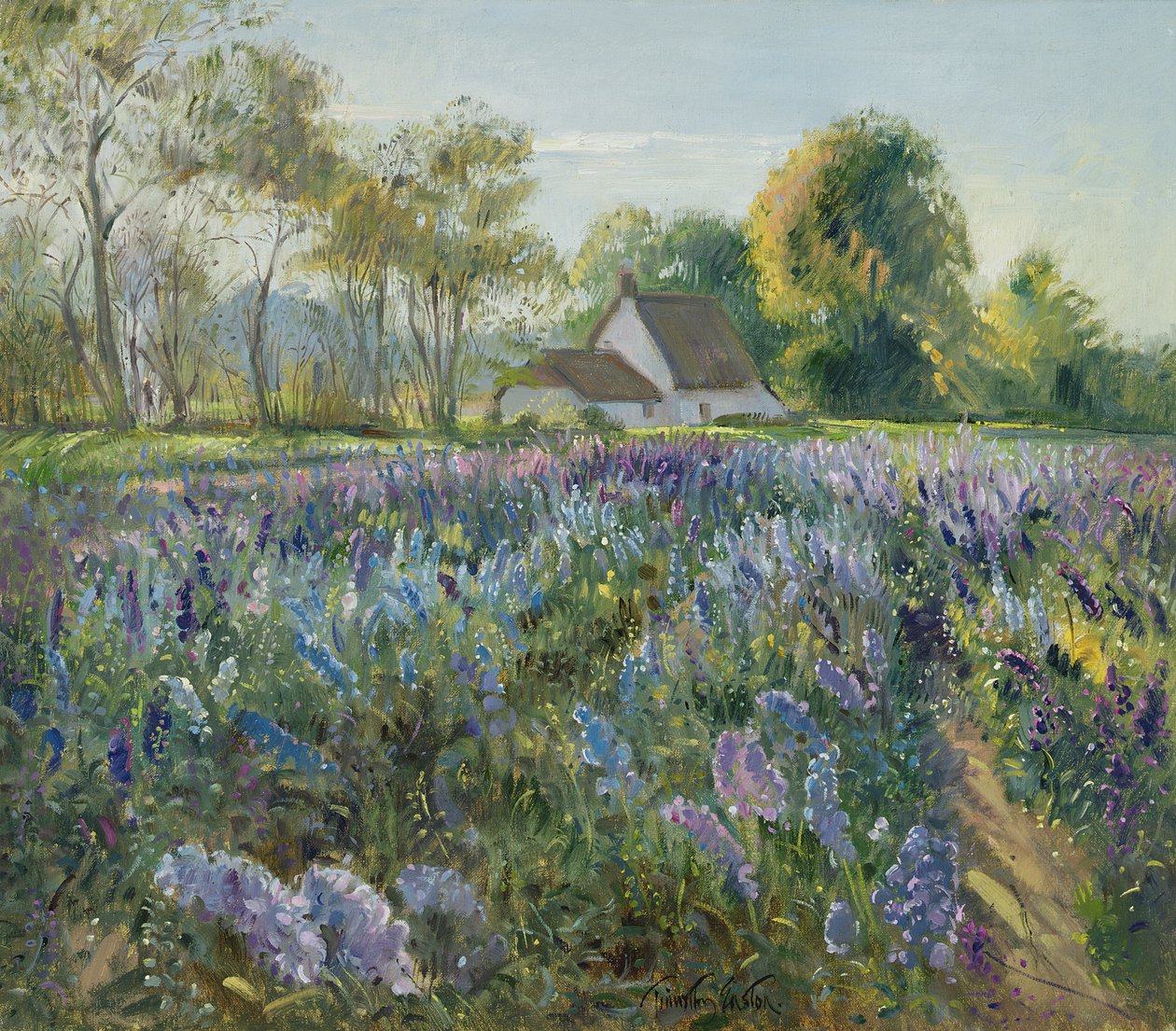 Delphinium di ottobre da Timothy Easton