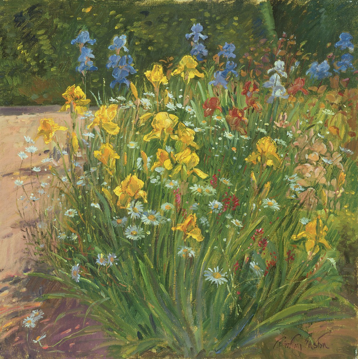 Margherite contro gli iris da Timothy Easton