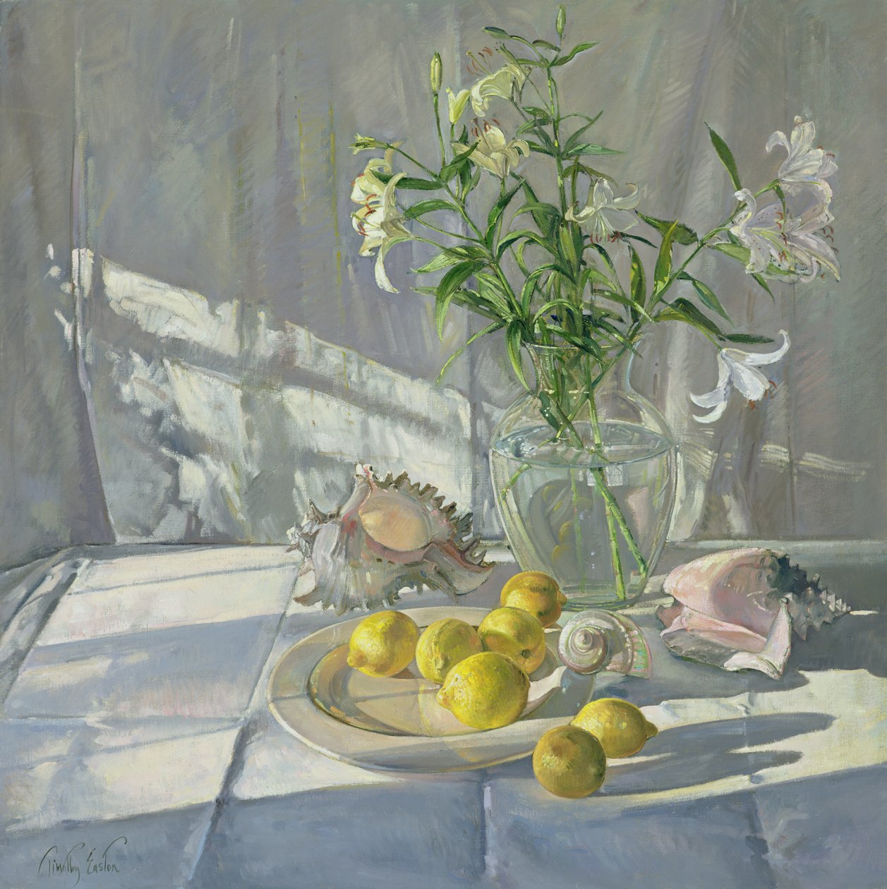 Riflessioni e Ombre da Timothy Easton