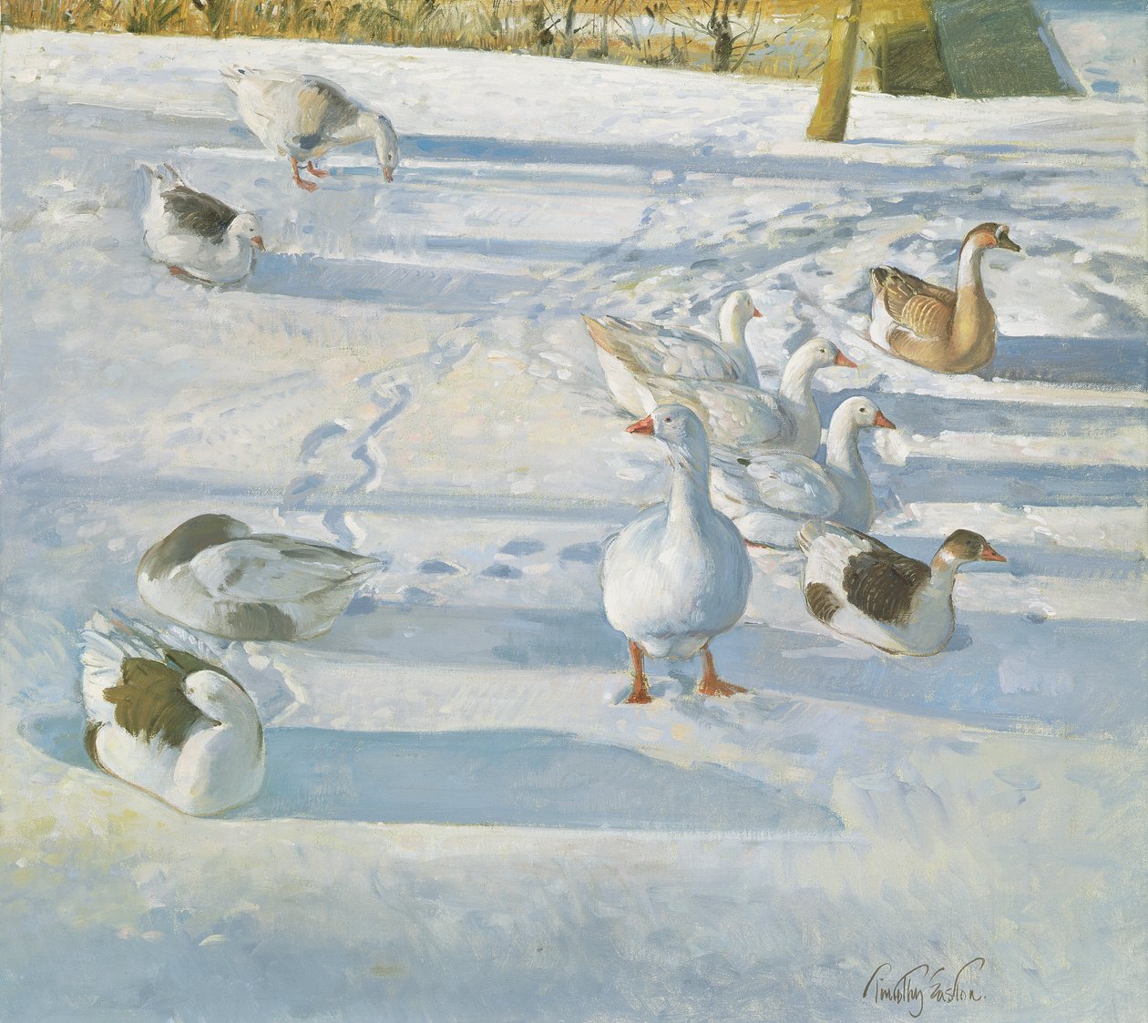 Riposo sul pendio da Timothy Easton