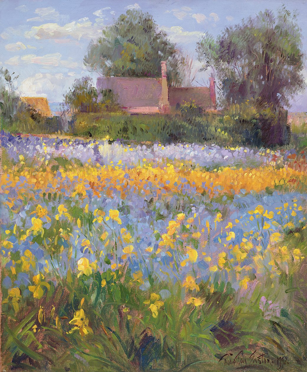 Le casette chiuse nel campo di iris da Timothy Easton