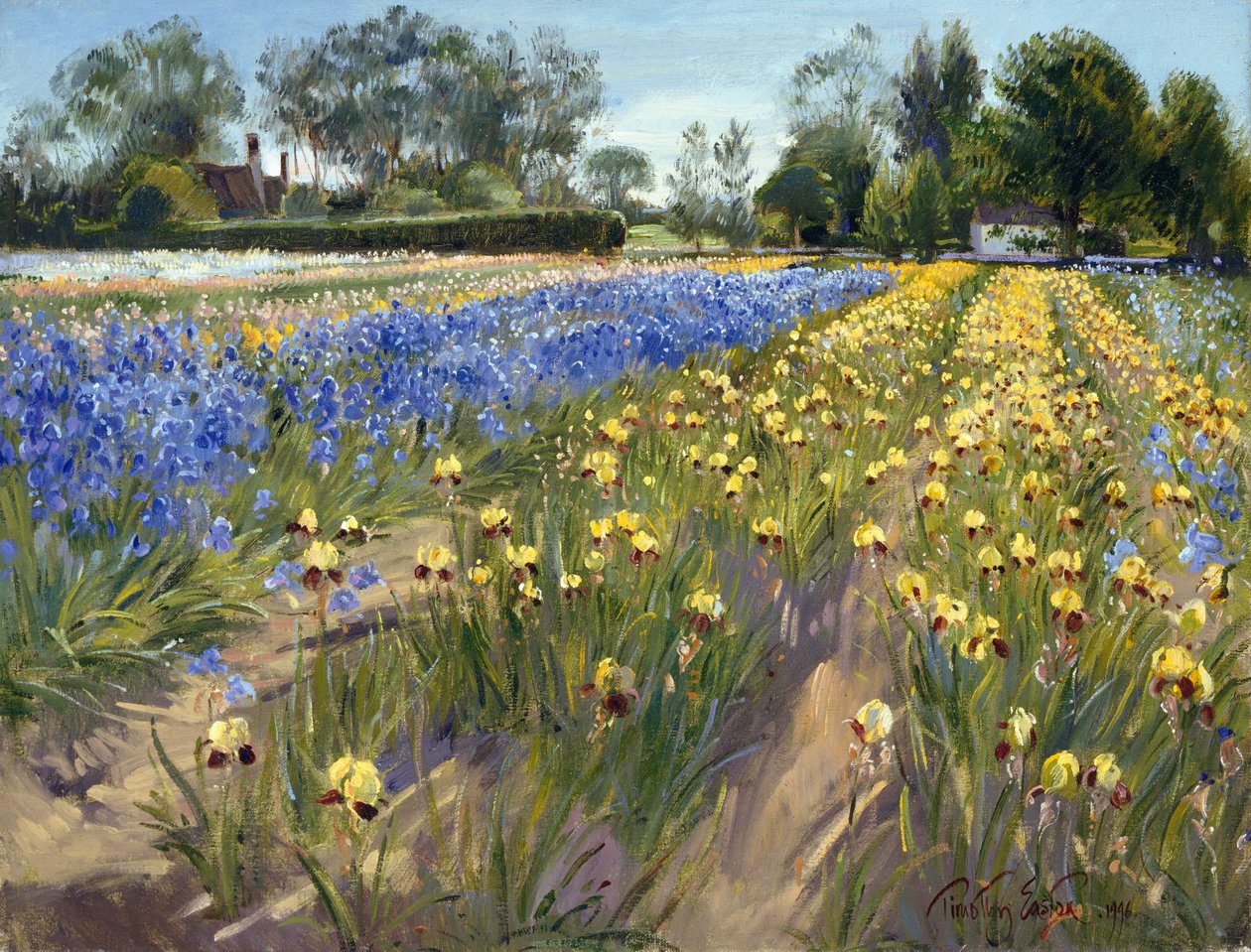Verso il fienile bianco, 1996 da Timothy Easton