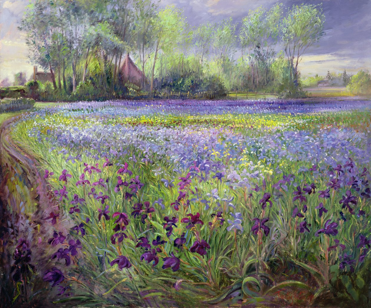 Sentiero oltre il campo di iris, 1991 da Timothy Easton