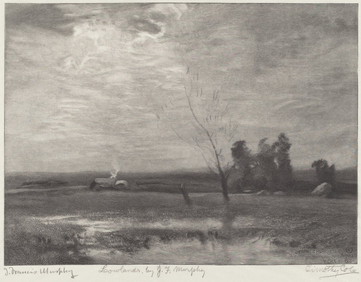 Bassi Fondi da Timothy Cole after John Francis Murphy
