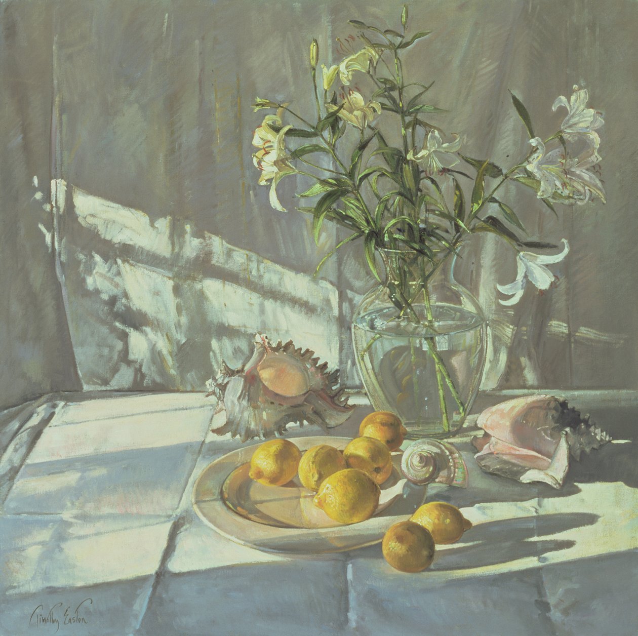 Riflessioni e Ombre da Timothy Easton