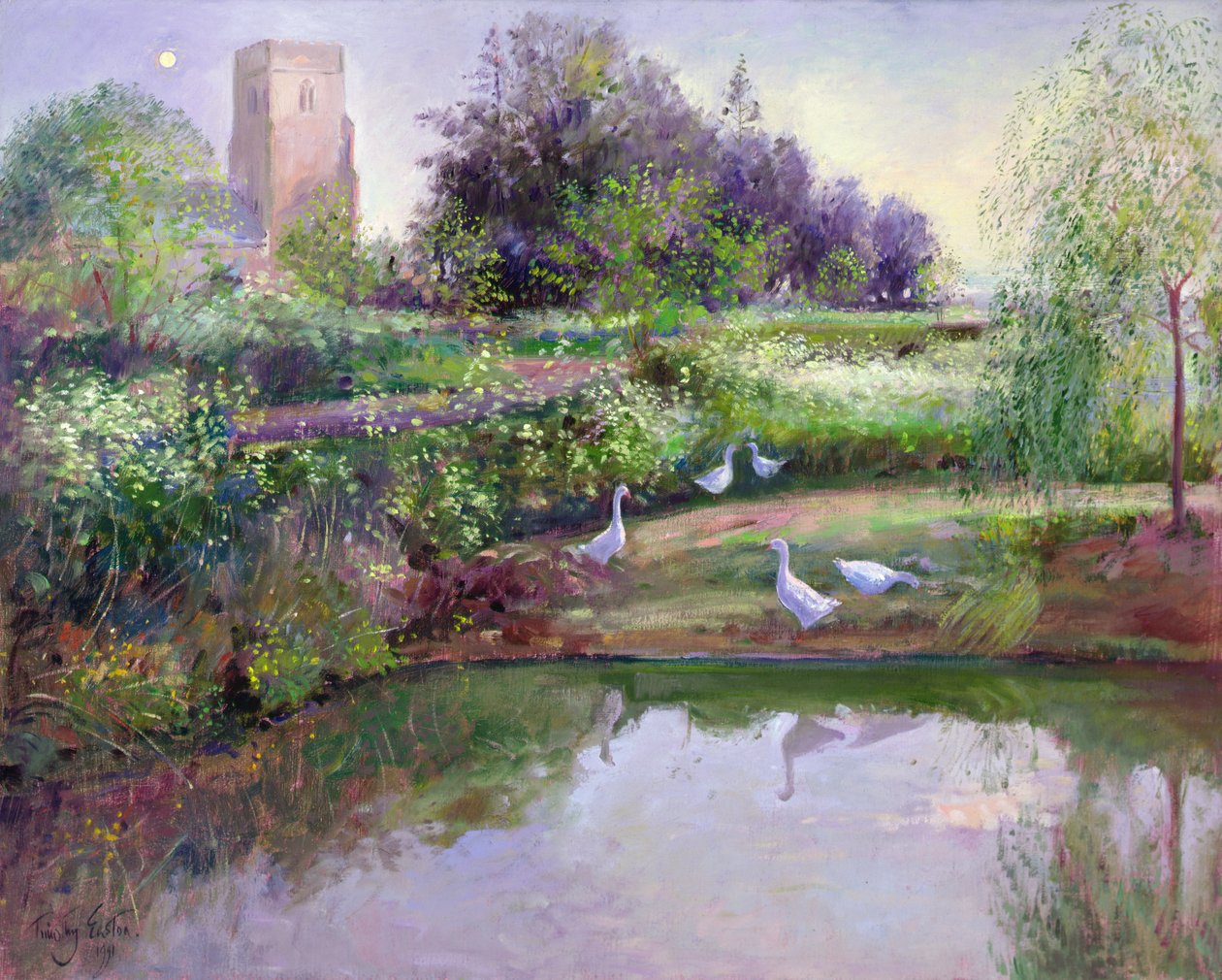 Riflessioni al tramonto da Timothy Easton