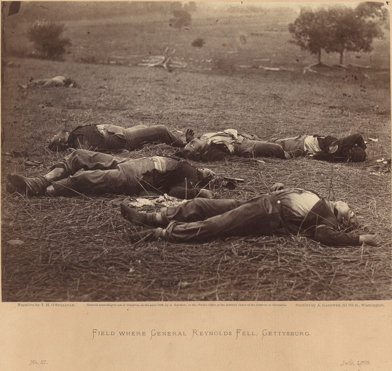 Campo dove cadde il generale Reynolds, Gettysburg, 5 luglio 1863 da Timothy H. O