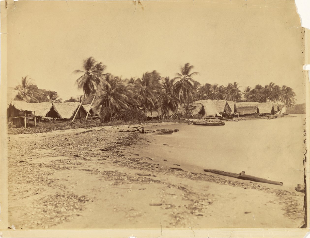 [Capanne, palme e spiaggia, Itshumus di Darién (Panama)] da Timothy H. O