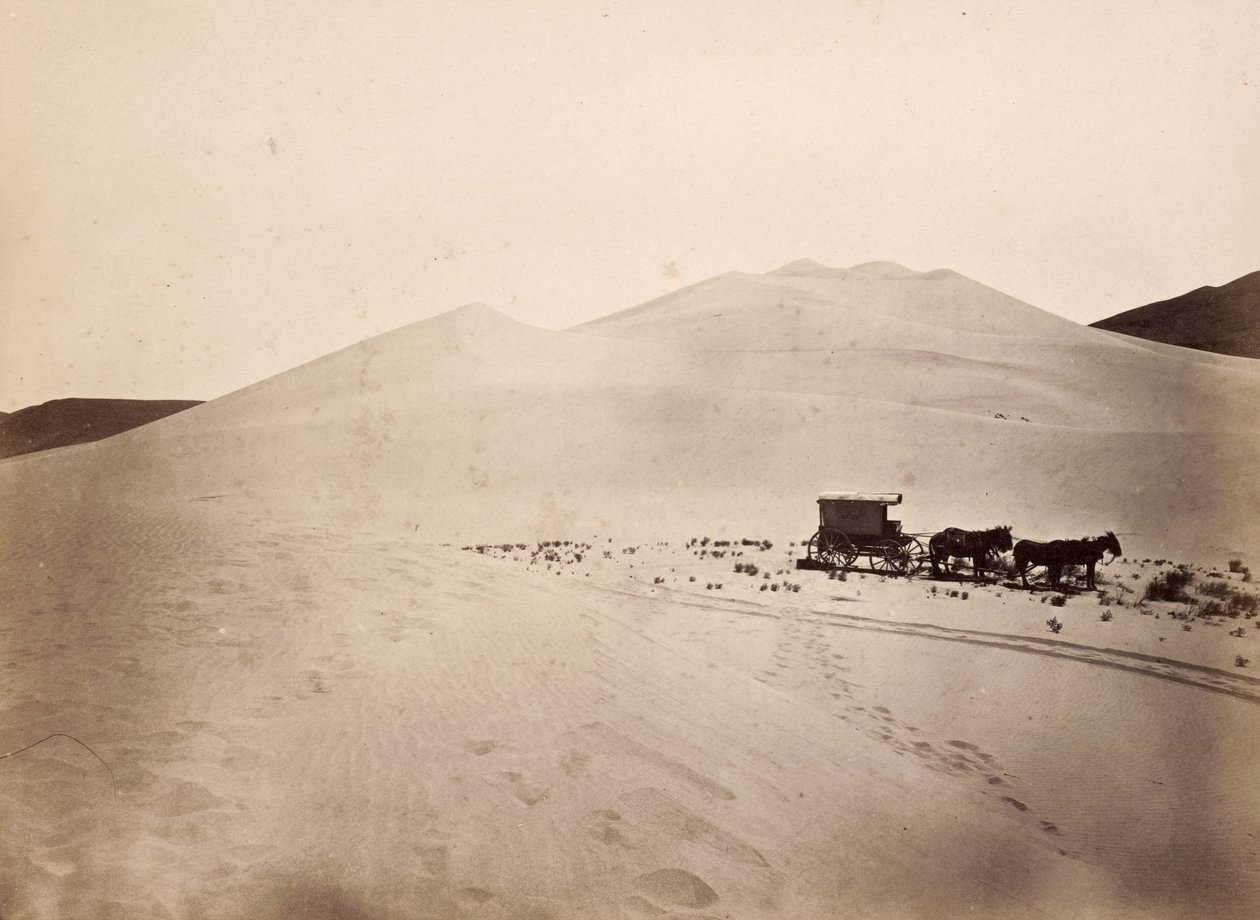Dune di sabbia, deserto di Carson, Nevada da Timothy H. O