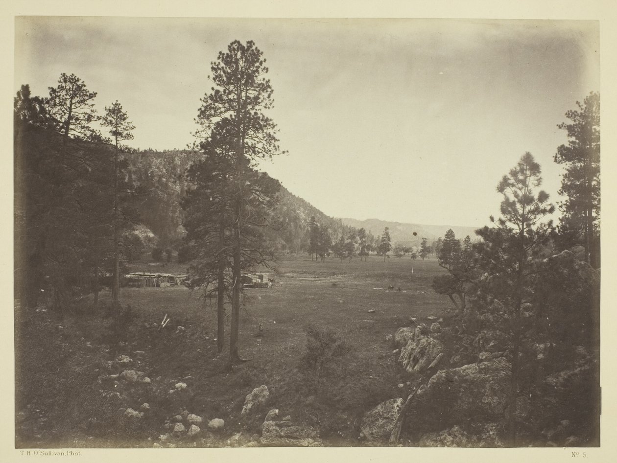 Parco di Cooley, Sierra Blanca Range, Arizona da Timothy O