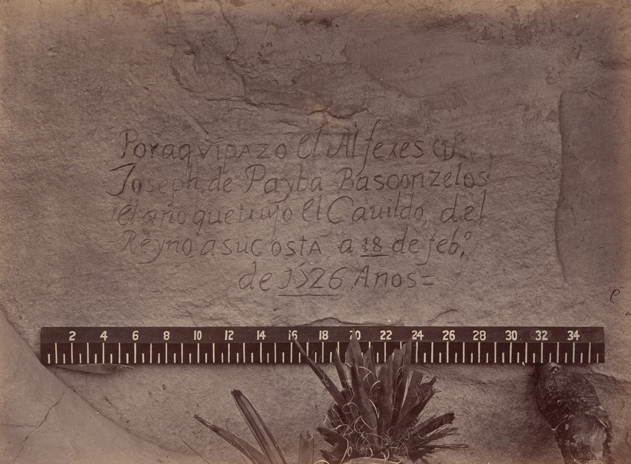 Esplorazioni e rilievi geografici e geologici a ovest del 100° meridiano da Timothy O