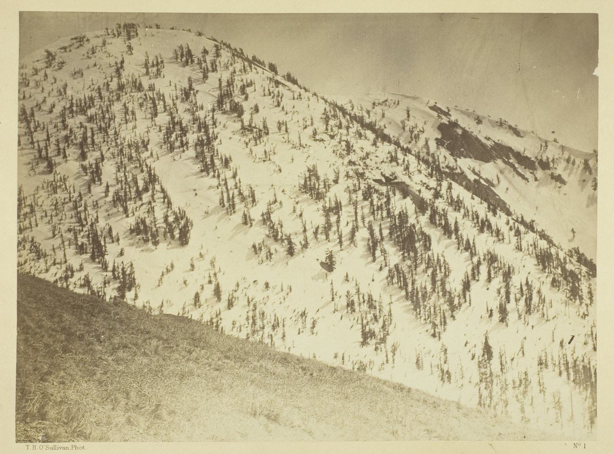 Snow Peaks, distretto minerario di Bull Run, Nevada da Timothy O