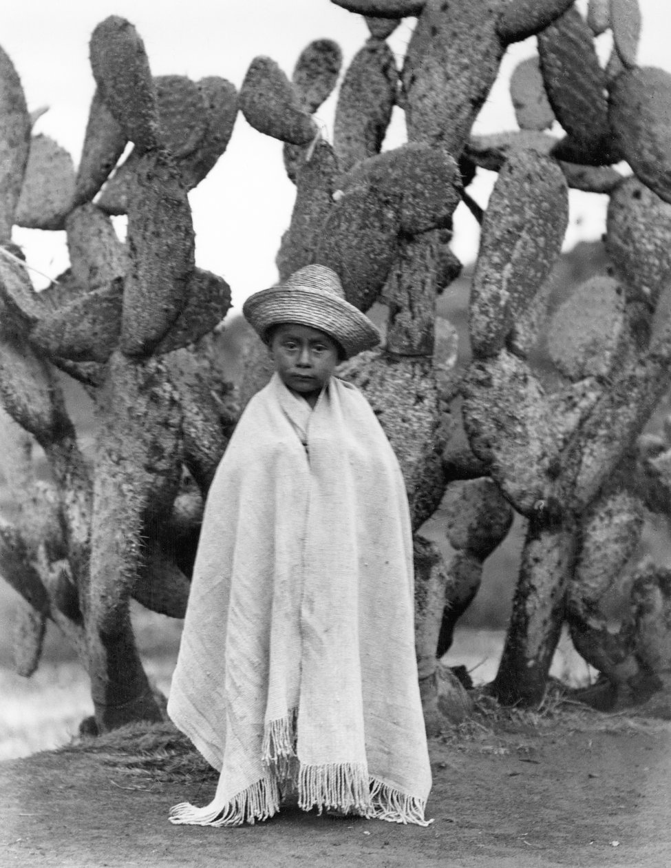 Ragazzo davanti a un cactus, Stato di Veracruz, Messico, 1927 (foto in bianco e nero) da Tina Modotti