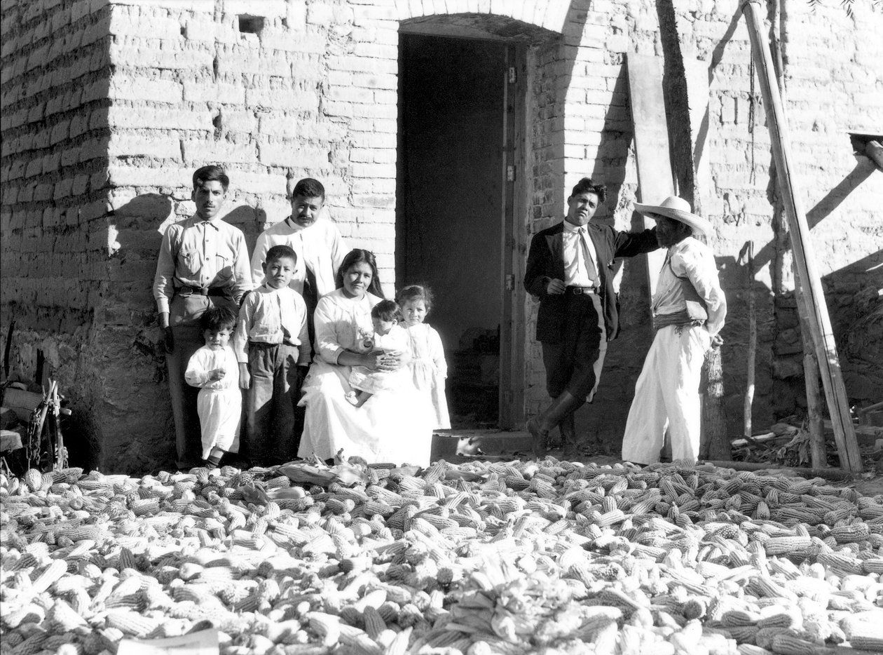 Famiglia con mais, Stato di Veracruz, Messico, 1927 da Tina Modotti