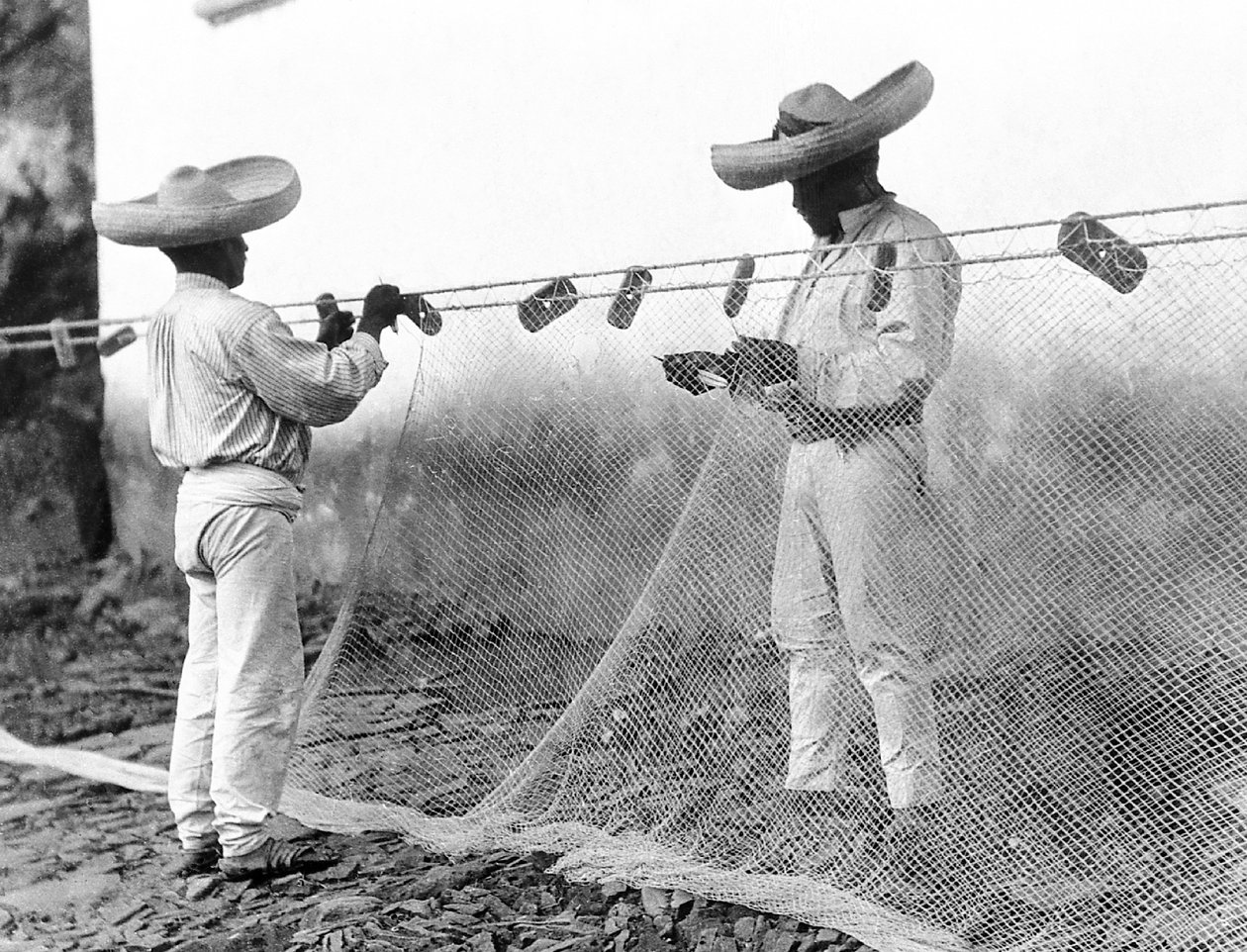 Pescatori con reti, Messico, c.1926 da Tina Modotti