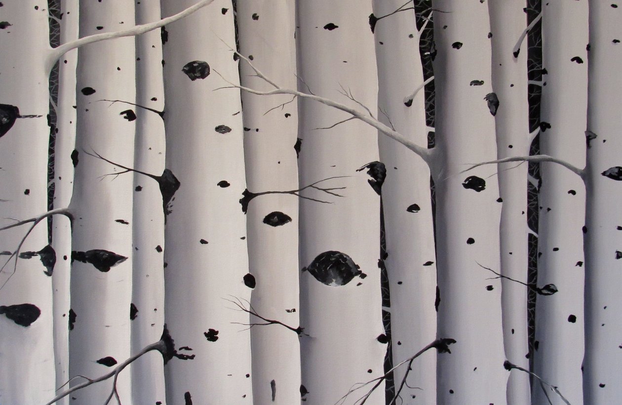 Alberi di betulla, 2017 (acrilico su tela) da Tina Palmer