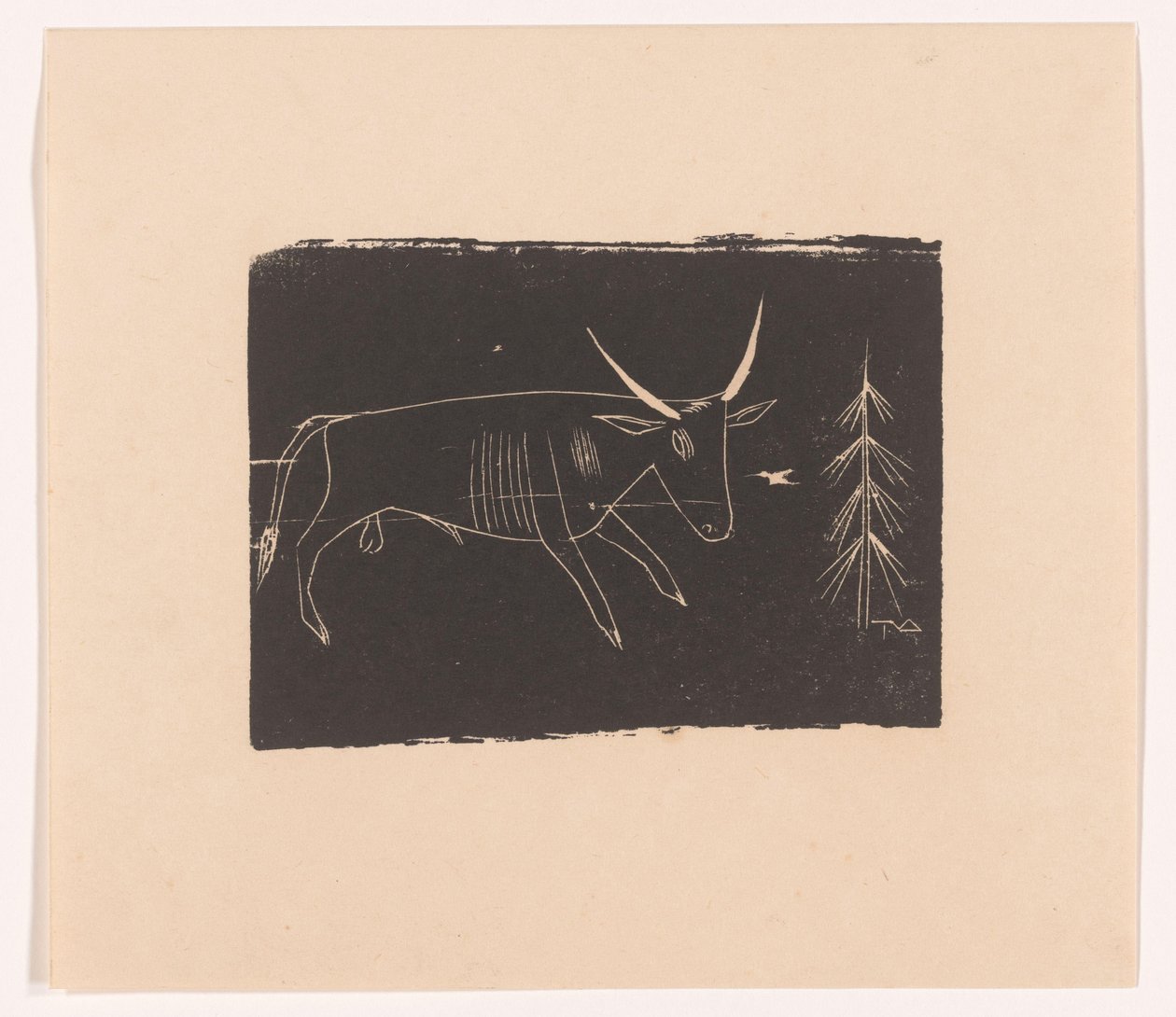 Toro da Tinus van Doorn (signed by artist)