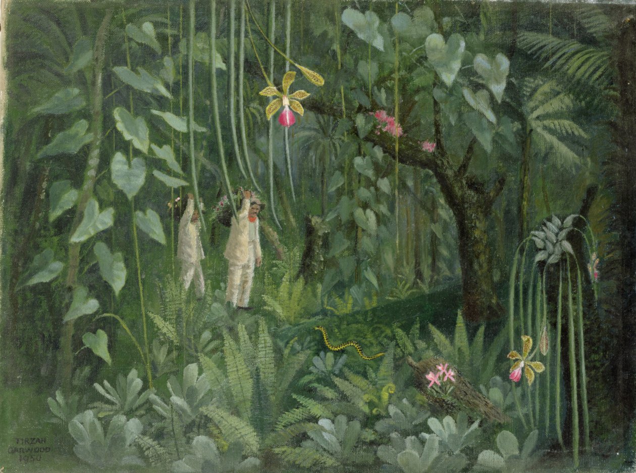 Cacciatori di orchidee del Brasile da Tirzah Ravilious