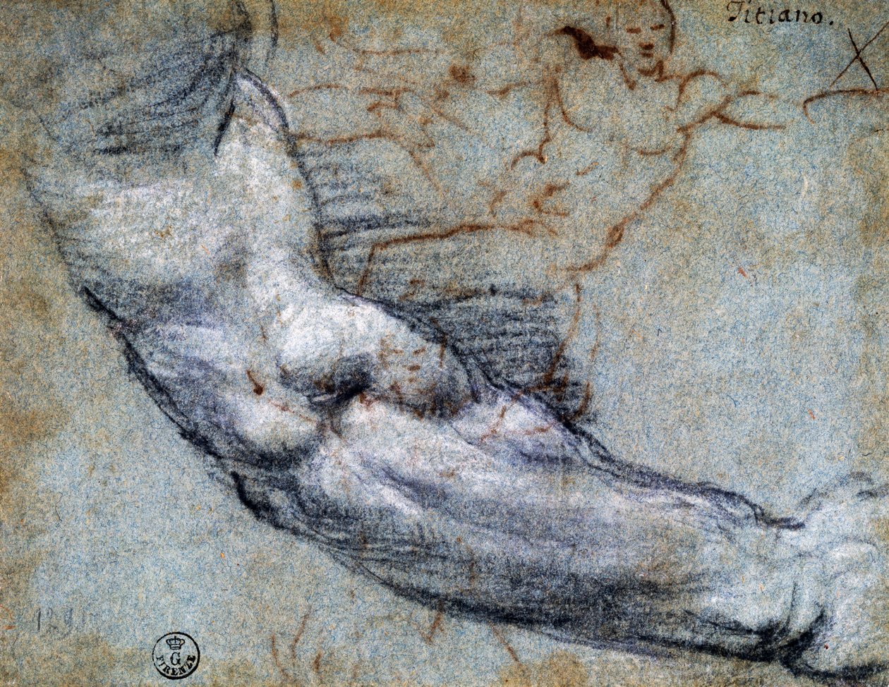 Studio di un braccio, di Tiziano, disegno da Titian (c.1488 1576)
