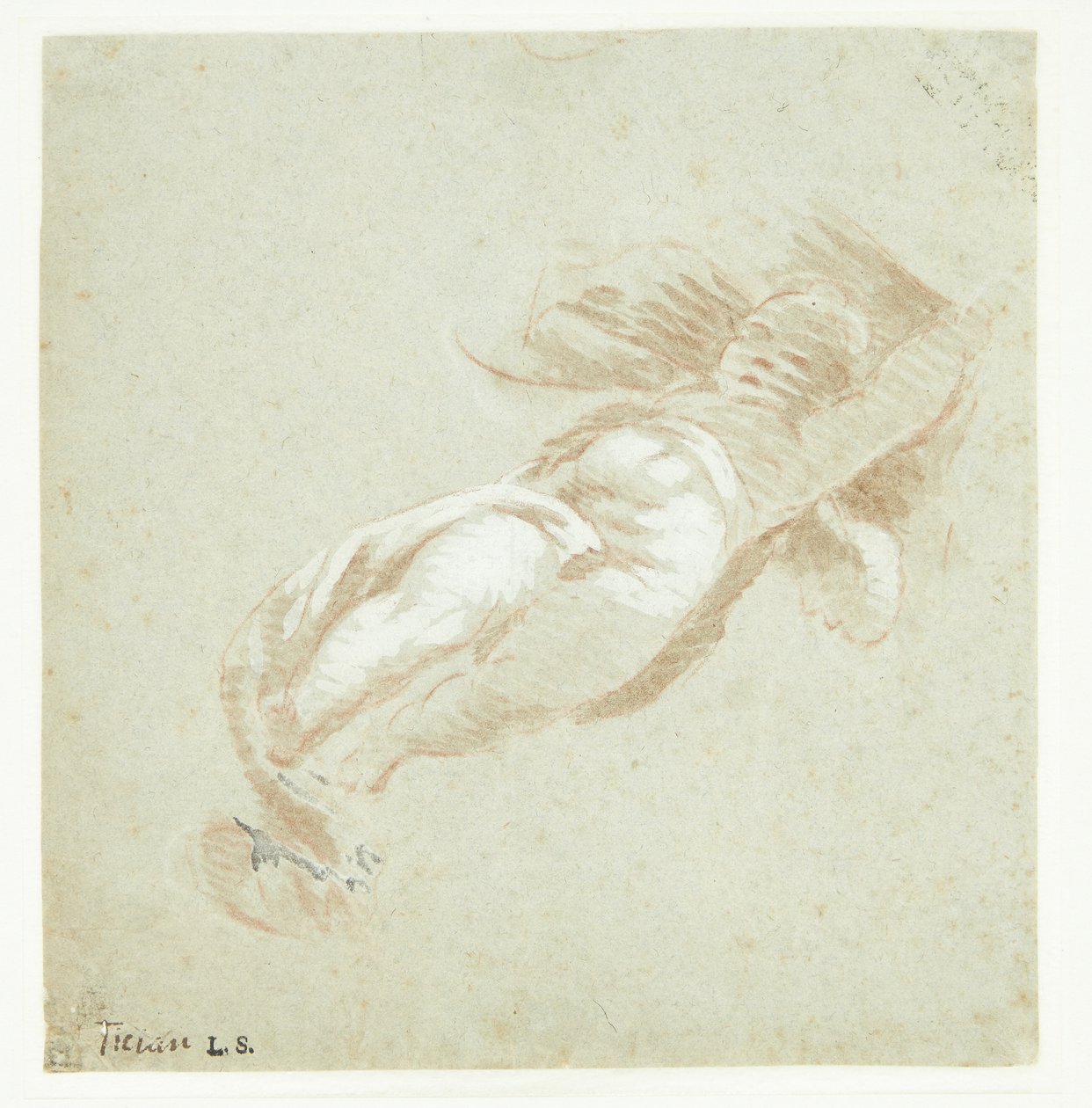 Putto volante da Tizian