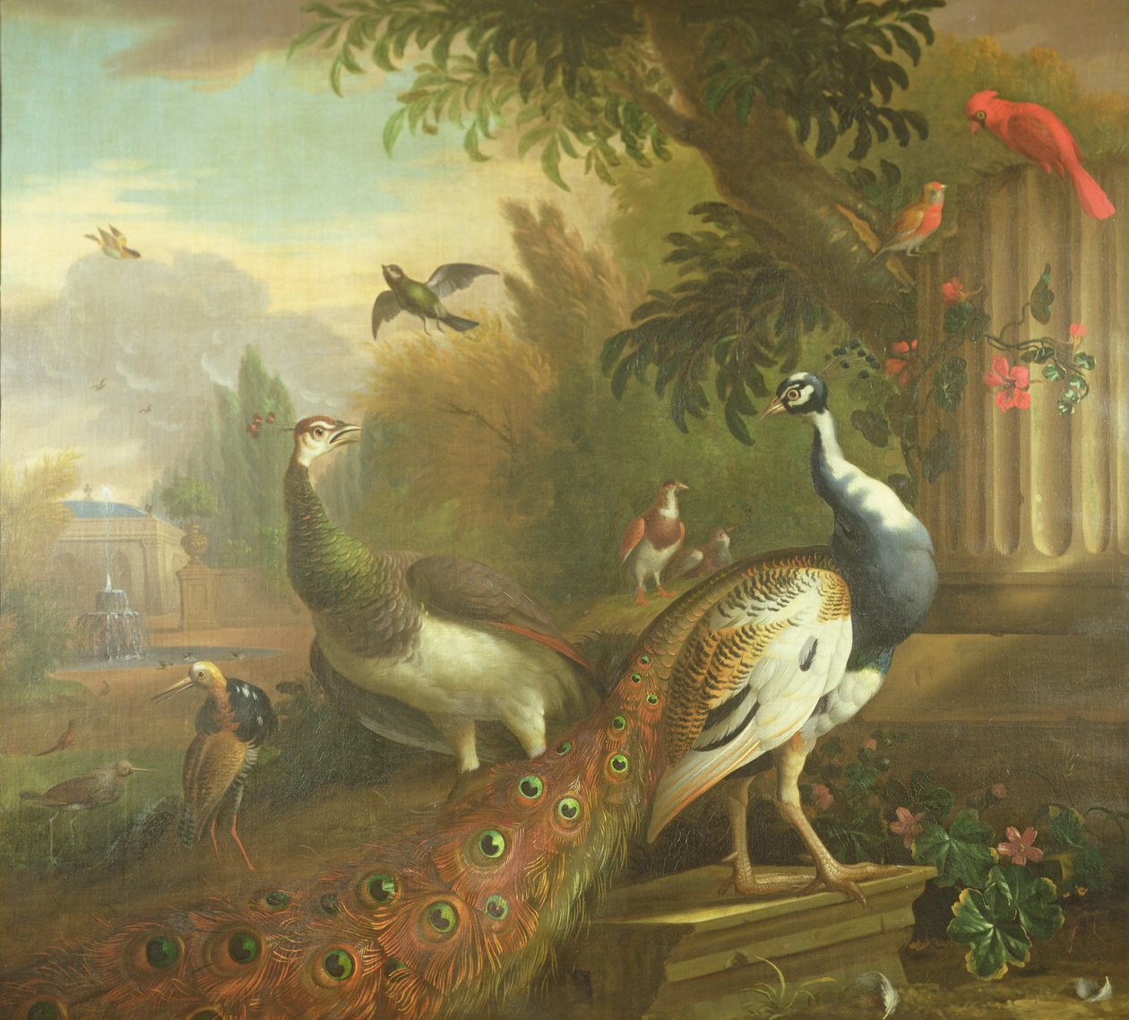 Pavone e pavonessa con un cardinale rosso in un paesaggio classico da Tobias Stranover