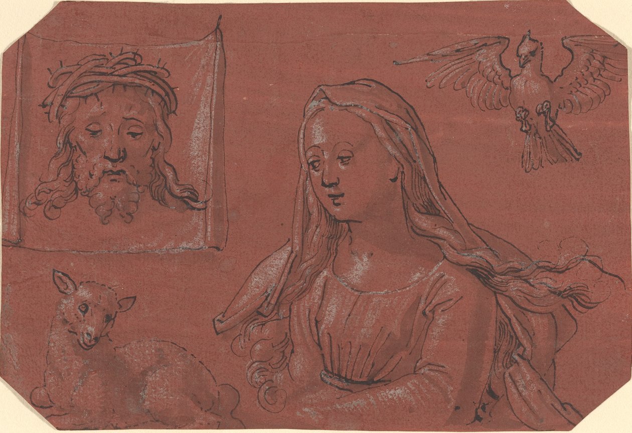 Studi del Sudario e di Sant