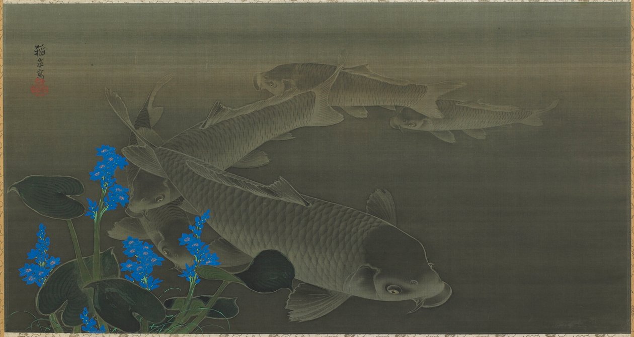 Carpa, Periodo Edo da Toko Kuroda