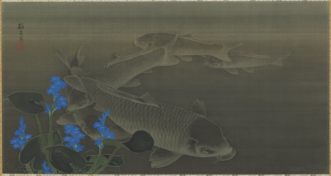 Carpa, periodo Edo, 1787-1846 da Toko Kuroda