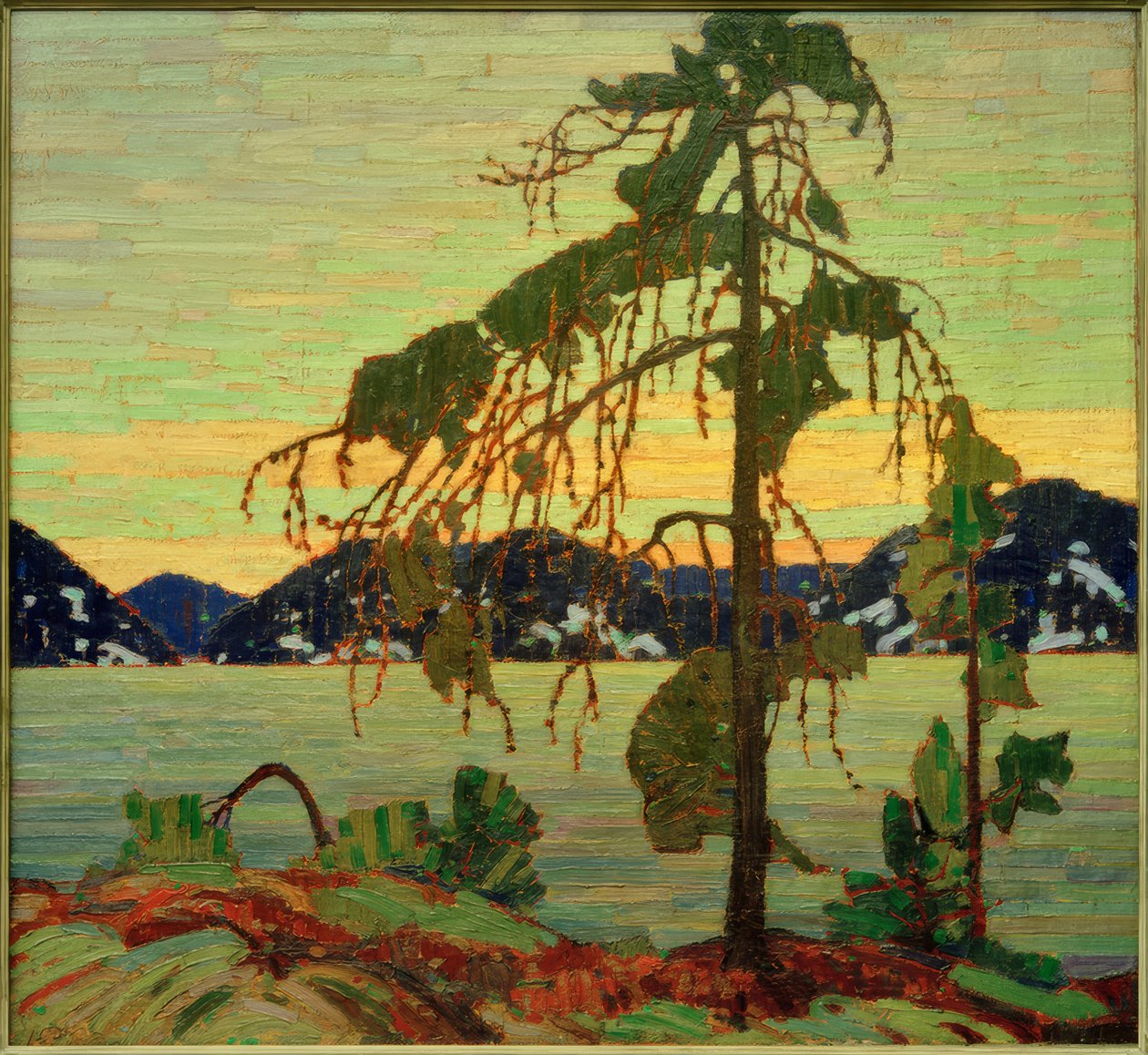 Il pino di Jack da Tom Thomson