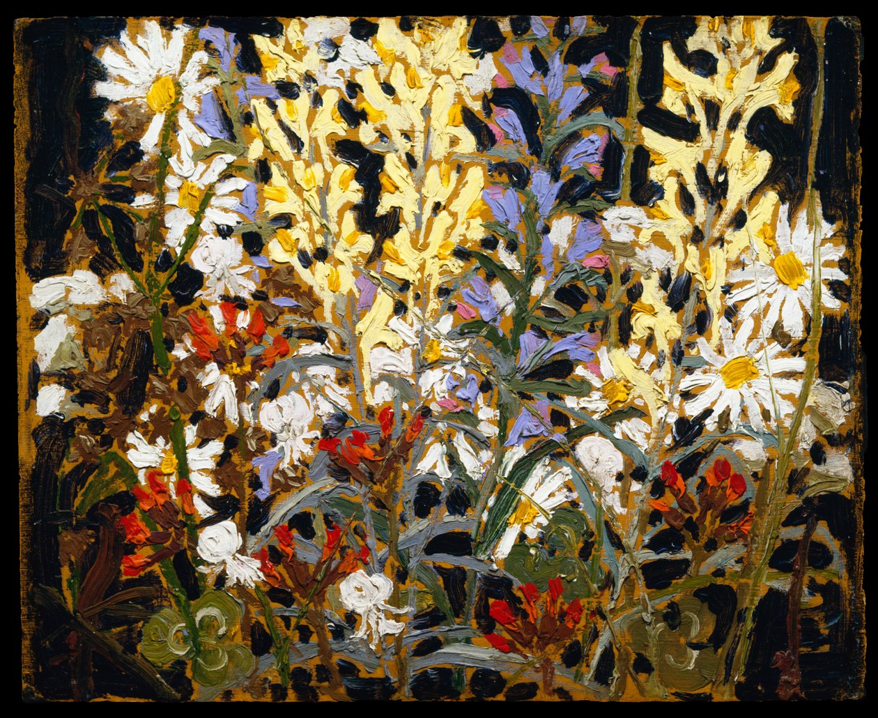 Fiori selvatici da Tom Thomson
