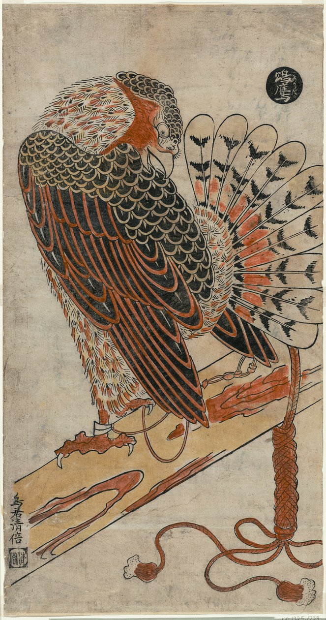 Sparviero (Konori taka) da Torii Kiyomasu I